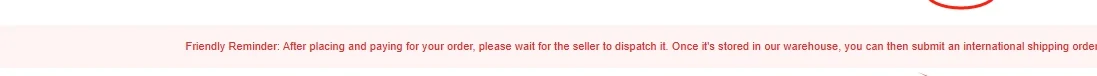 A pink reminder panel on the order page explaining that after placing and paying for an order you must wait for the seller to dispatch it before an international shipping order can be submitted