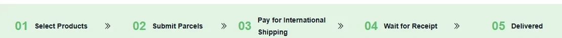 A five-step progress strip reading Select Products, Submit Parcels, Pay for International Shipping, Wait for Receipt, Delivered